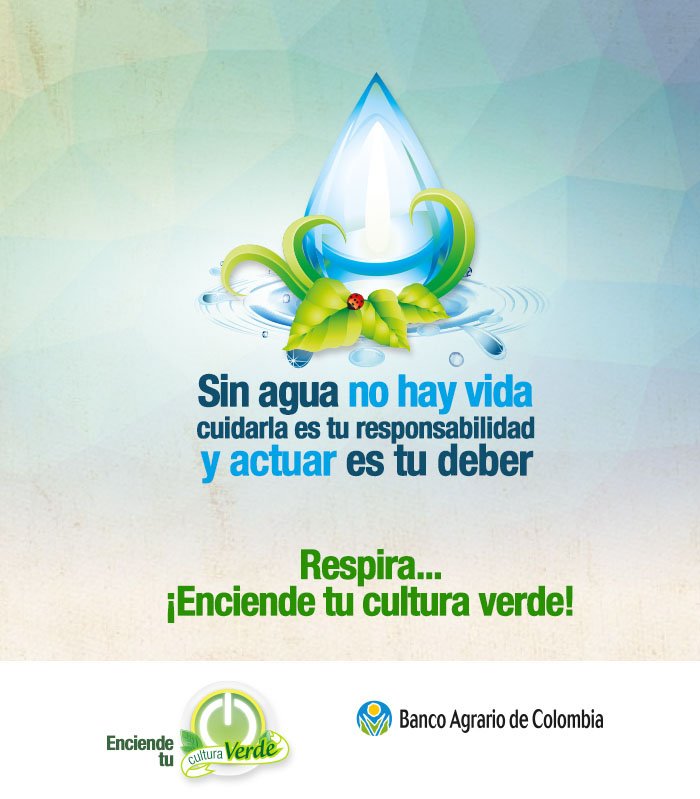 ecotips 12