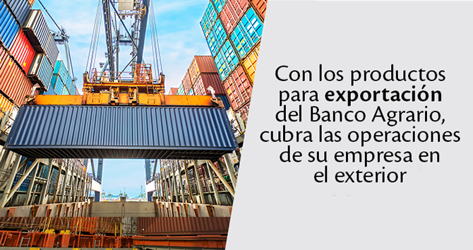 imagen exportaciones